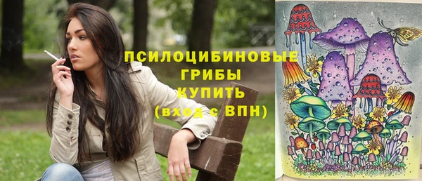прущие крисы Армянск